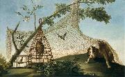 Francisco de Goya Caza con reclamo Sweden oil painting artist